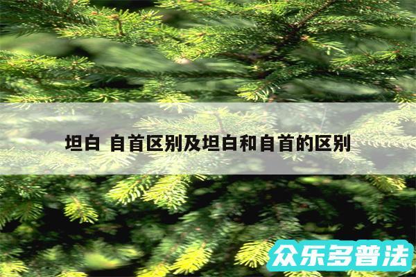 坦白 自首区别及坦白和自首的区别