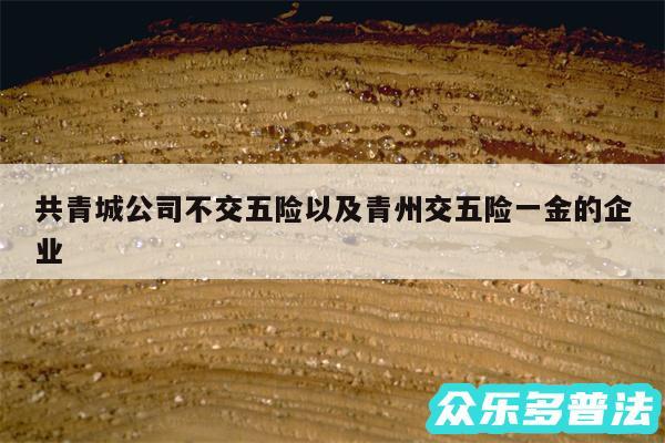 共青城公司不交五险以及青州交五险一金的企业