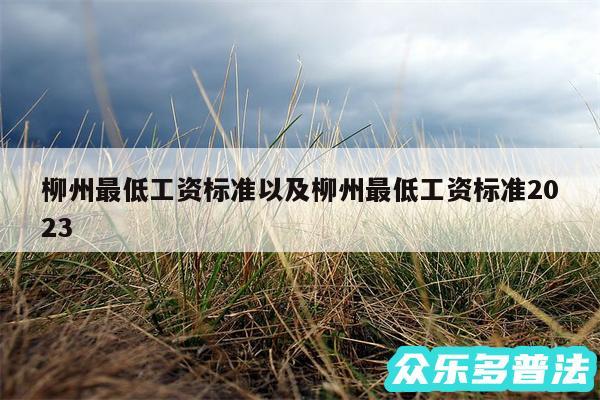 柳州最低工资标准以及柳州最低工资标准2024
