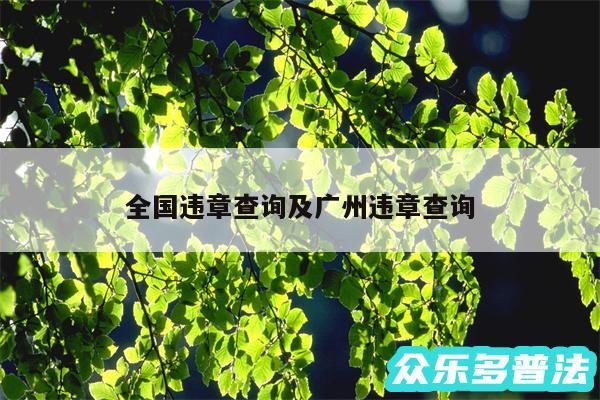全国违章查询及广州违章查询