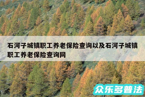 石河子城镇职工养老保险查询以及石河子城镇职工养老保险查询网