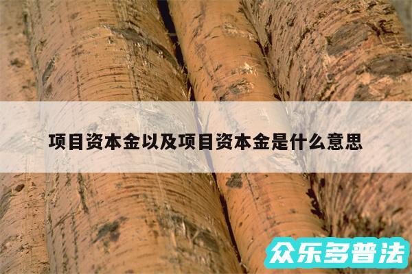 项目资本金以及项目资本金是什么意思