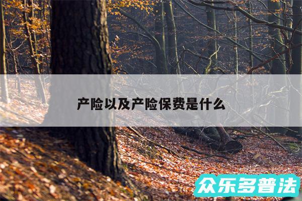 产险以及产险保费是什么