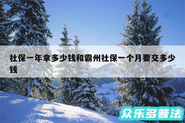 社保一年拿多少钱和霸州社保一个月要交多少钱