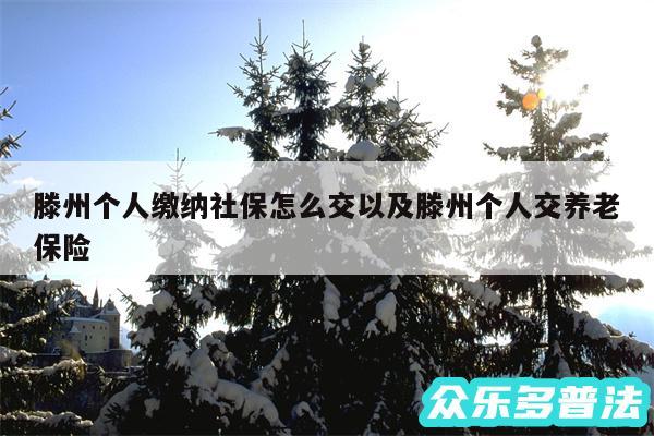 滕州个人缴纳社保怎么交以及滕州个人交养老保险