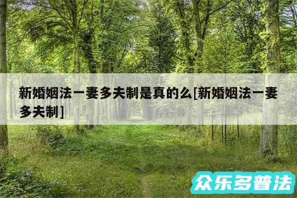 新婚姻法一妻多夫制是真的么及新婚姻法一妻多夫制