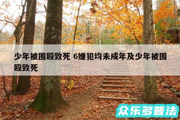 少年被围殴致死 6嫌犯均未成年及少年被围殴致死