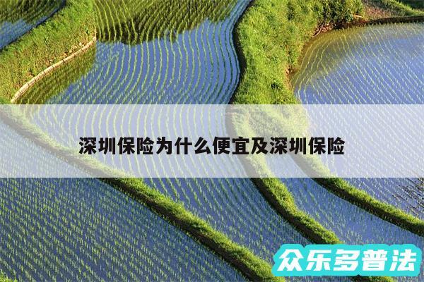深圳保险为什么便宜及深圳保险