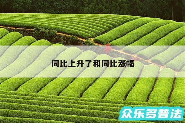 同比上升了和同比涨幅