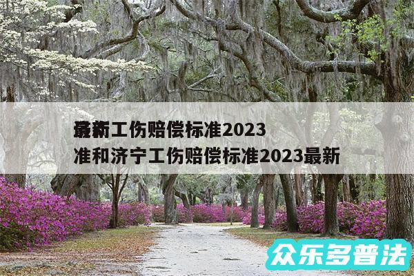 济南工伤赔偿标准2024
最新工伤赔偿标准和济宁工伤赔偿标准2024最新