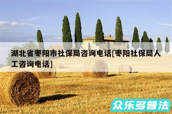 湖北省枣阳市社保局咨询电话及枣阳社保局人工咨询电话