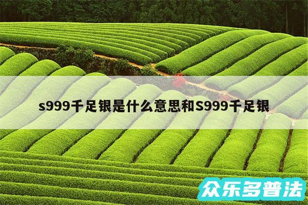 s999千足银是什么意思和S999千足银