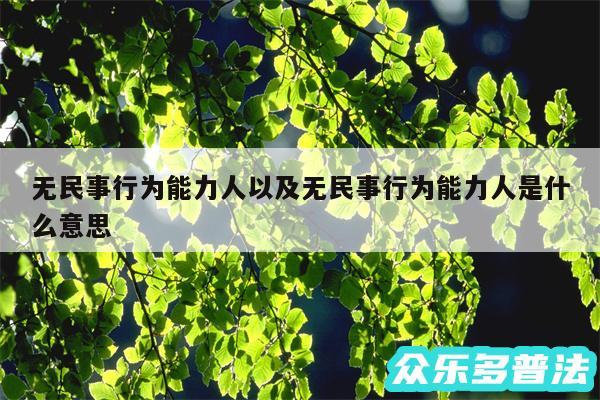 无民事行为能力人以及无民事行为能力人是什么意思