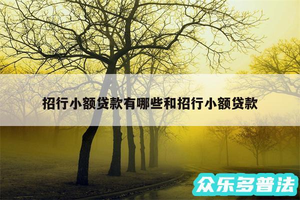 招行小额贷款有哪些和招行小额贷款