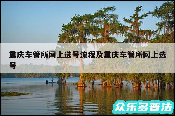 重庆车管所网上选号流程及重庆车管所网上选号