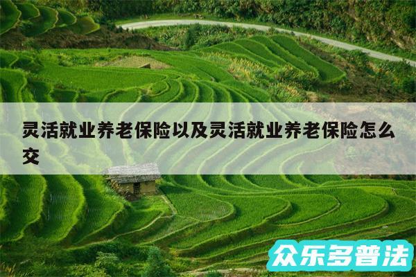灵活就业养老保险以及灵活就业养老保险怎么交
