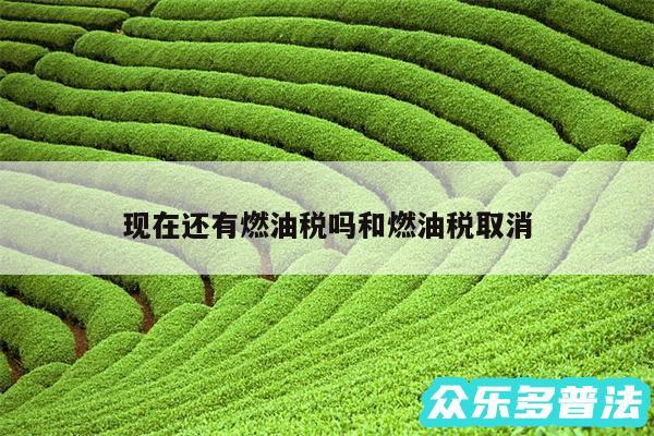 现在还有燃油税吗和燃油税取消