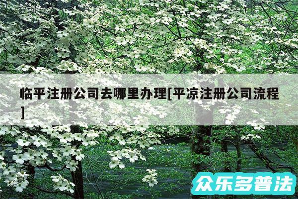 临平注册公司去哪里办理及平凉注册公司流程