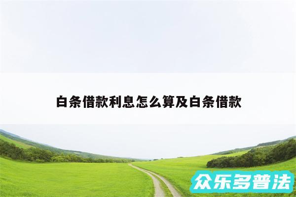 白条借款利息怎么算及白条借款