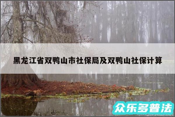 黑龙江省双鸭山市社保局及双鸭山社保计算