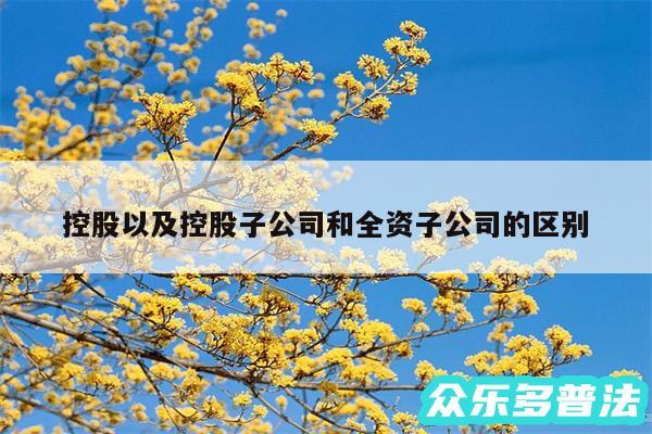 控股以及控股子公司和全资子公司的区别