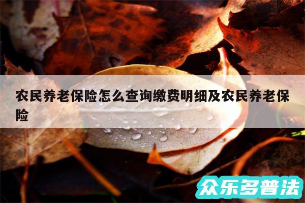 农民养老保险怎么查询缴费明细及农民养老保险