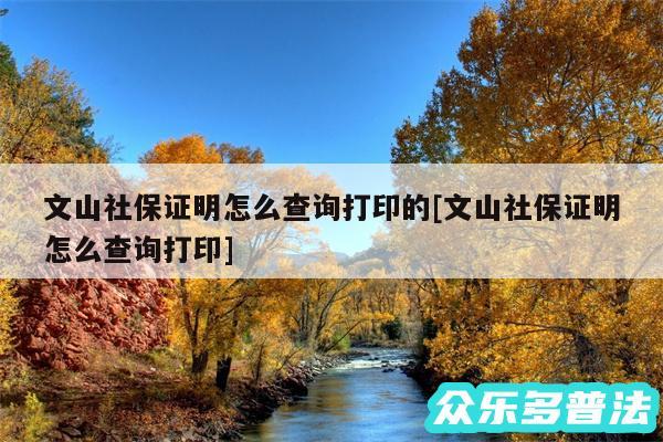 文山社保证明怎么查询打印的及文山社保证明怎么查询打印