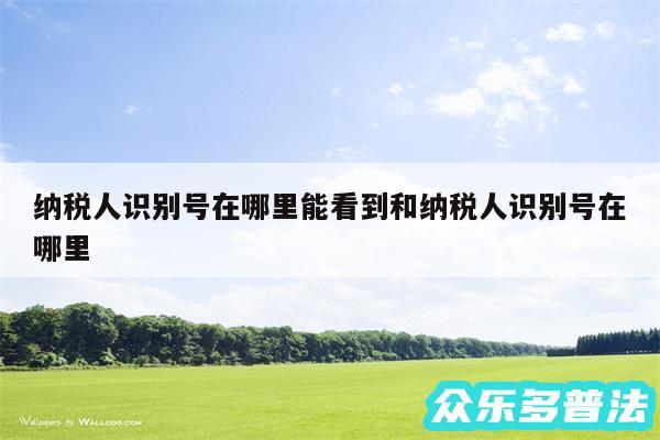 纳税人识别号在哪里能看到和纳税人识别号在哪里