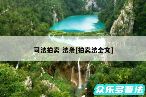 司法拍卖 法条及拍卖法全文
