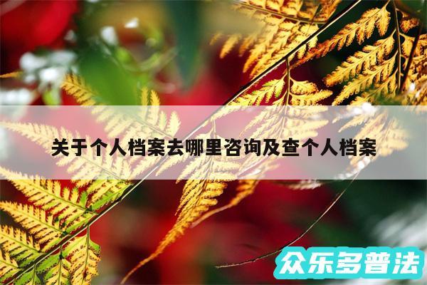 关于个人档案去哪里咨询及查个人档案
