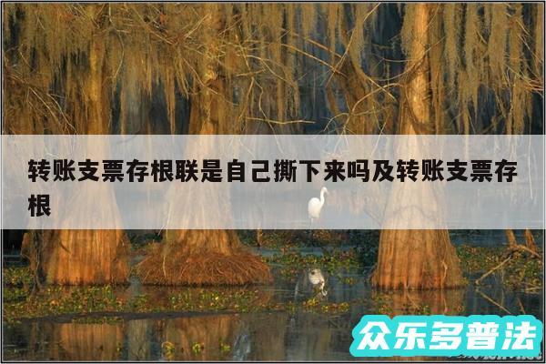 转账支票存根联是自己撕下来吗及转账支票存根