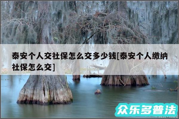 泰安个人交社保怎么交多少钱及泰安个人缴纳社保怎么交