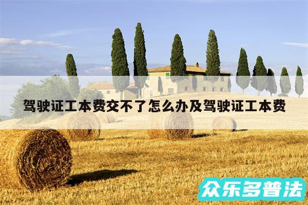 驾驶证工本费交不了怎么办及驾驶证工本费