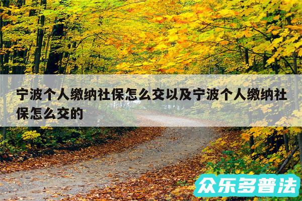 宁波个人缴纳社保怎么交以及宁波个人缴纳社保怎么交的