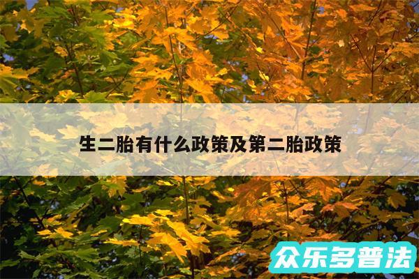 生二胎有什么政策及第二胎政策