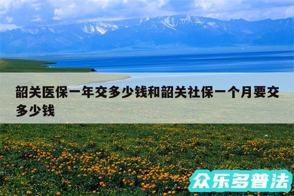 韶关医保一年交多少钱和韶关社保一个月要交多少钱