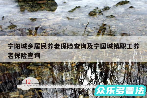 宁阳城乡居民养老保险查询及宁国城镇职工养老保险查询