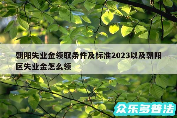 朝阳失业金领取条件及标准2024以及朝阳区失业金怎么领