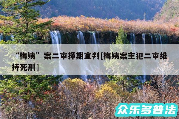 “梅姨”案二审择期宣判及梅姨案主犯二审维持死刑