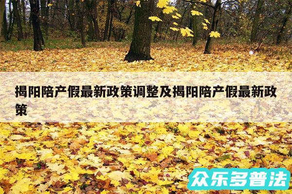 揭阳陪产假最新政策调整及揭阳陪产假最新政策