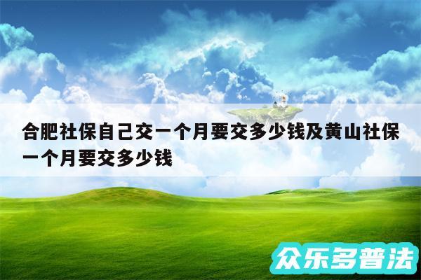 合肥社保自己交一个月要交多少钱及黄山社保一个月要交多少钱