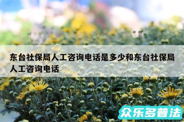 东台社保局人工咨询电话是多少和东台社保局人工咨询电话