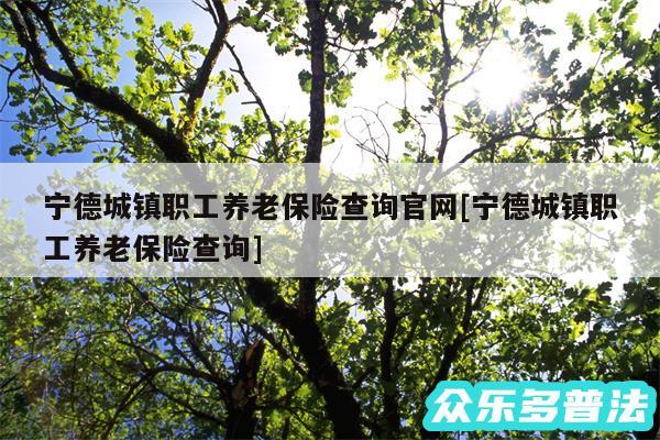 宁德城镇职工养老保险查询官网及宁德城镇职工养老保险查询