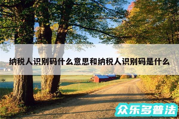 纳税人识别码什么意思和纳税人识别码是什么