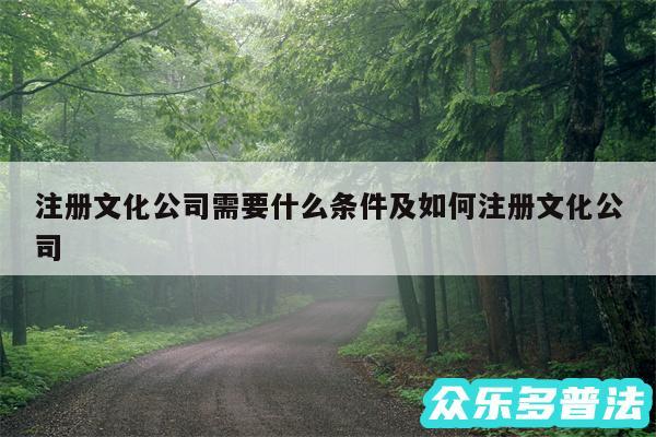 注册文化公司需要什么条件及如何注册文化公司