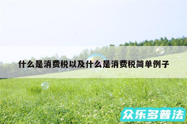 什么是消费税以及什么是消费税简单例子