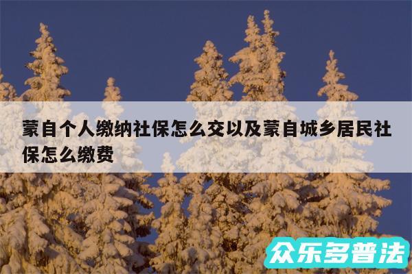 蒙自个人缴纳社保怎么交以及蒙自城乡居民社保怎么缴费