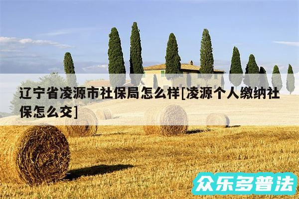 辽宁省凌源市社保局怎么样及凌源个人缴纳社保怎么交