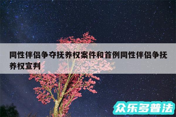 同性伴侣争夺抚养权案件和首例同性伴侣争抚养权宣判