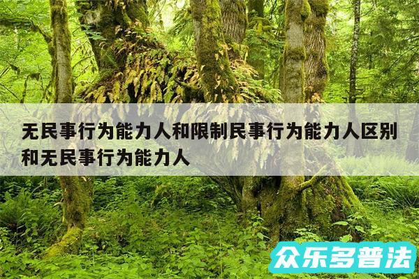 无民事行为能力人和限制民事行为能力人区别和无民事行为能力人